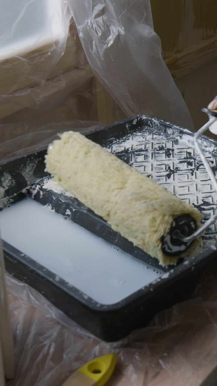 Paint roller and tray