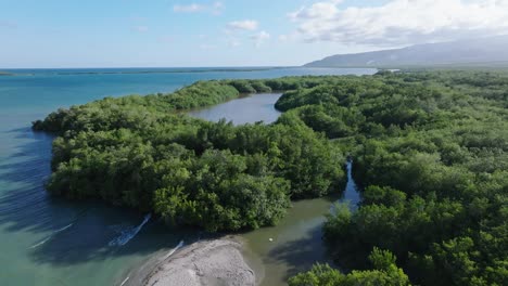 aerial flyover playa los negros with walking tourist at sand enjoying mangrove forest 3with river and caribbean sea at sunny summer day in azua