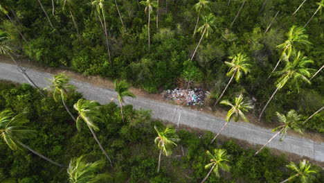 aerial rotation over a scenic road surrounded by beautiful palm trees in koh samui, thailand