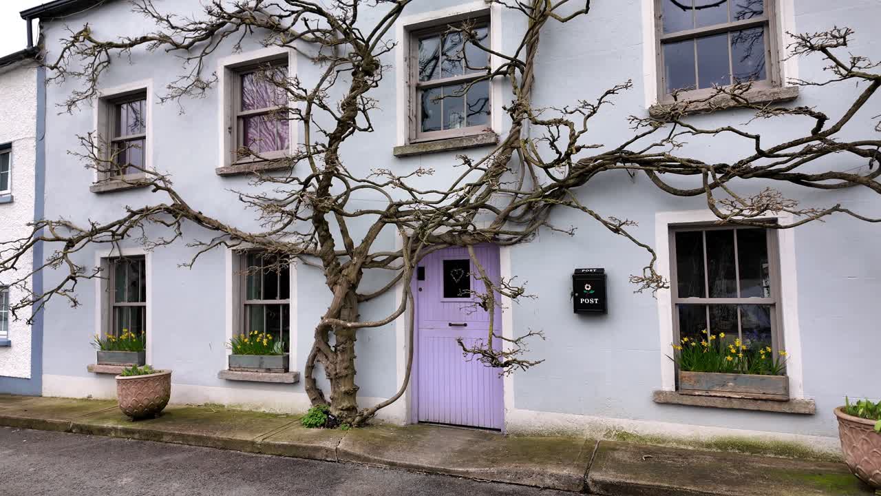 wisteria en una casa encantadora a principios de la primavera en el país inistioge kilkenny irlanda