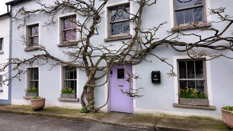 Wisteria-En-Una-Encantadora-Casa-A-Principios-De-La-Primavera-En-El-País-De-Inistioge-Kilkenny,-Irlanda