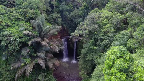 un dron que vuela hacia atrás a través de las palmeras revela una toma de una cascada escondida con estanque y arrozales