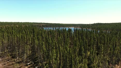 Ein-Großes-Feuchtgebiet-Im-Norden-Von-Quebec-An-Einem-Heißen-Sommertag