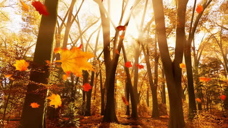 autumn forest with falling leaves and sunlight