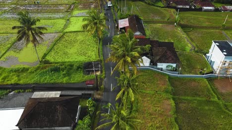 Asombrosas-Imágenes-Cinematográficas-De-Ubud,-Bali-Drone-Con-Exótica-Terraza-De-Arroz,-Pequeñas-Granjas,-Casas-De-Pueblo-Y-Plantaciones-Agroforestales