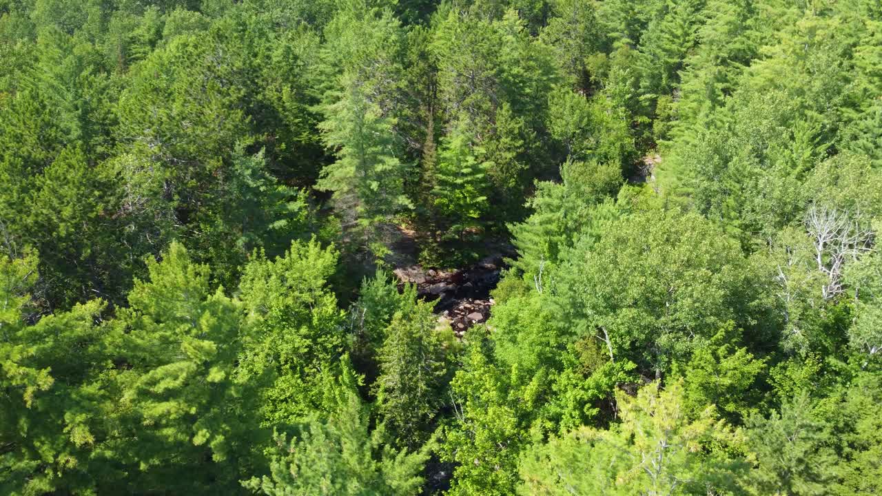 duchesnay falls, ontario - el cruce de senderos revelado en el desierto