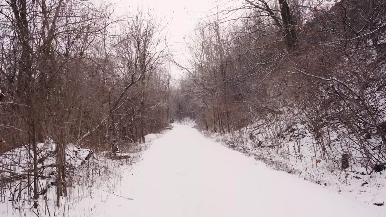 A peaceful snow covered path winds through a quiet winter forest