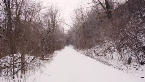a peaceful snow covered path winds through a quiet winter forest