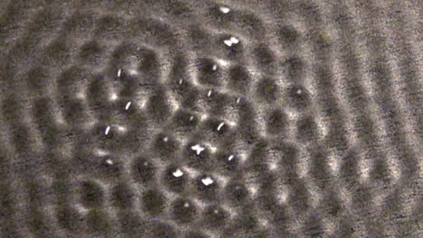 honeycomb-shaped standing waves pulsing in a liquid medium