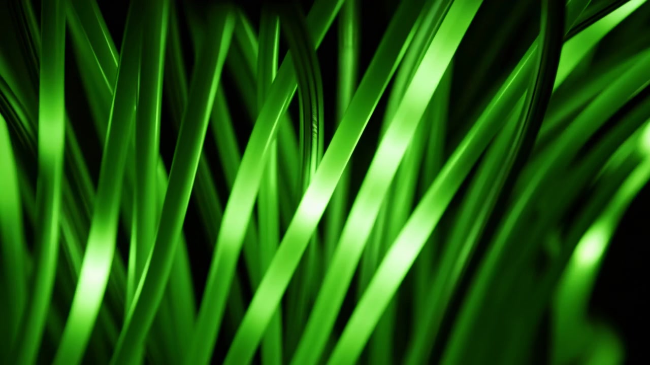 Täta neongröna blad och bandliknande strån fyller en mörk vy med skiktat djup, skarpa reflexer, mjuk oskärpa och rik abstrakt textur i en modern grafisk komposition.