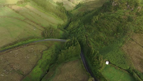 white car drives on small road in middle of green nature at flores azores, aerial