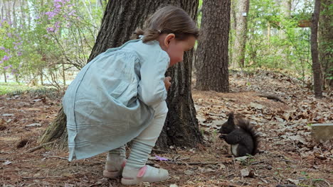 Toddler-Girl-Taking-Picture-Of-Squirrel-Eating-Under-The-Tree-In-The-Park