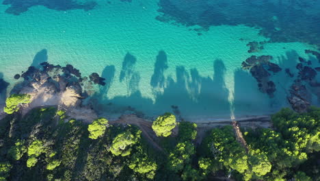 aerial-view-of-white-sand-beach-Courtade-Porquerolles-paradise-France-Var