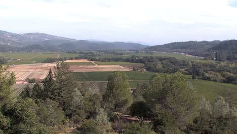 Panorama-of-Napa-Valley-with-vineyards,-California,-USA