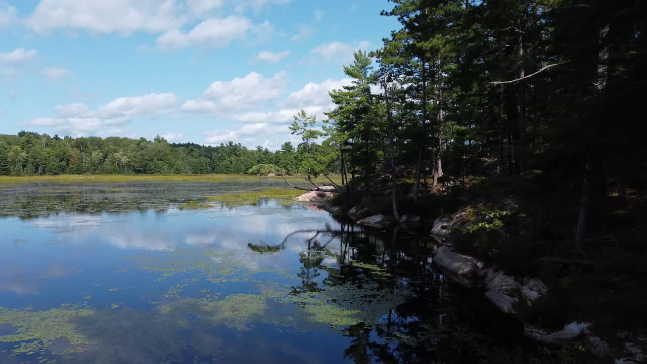 Exploring Shot Through Trees Towards Calm Peaceful Grundy Lake In Provincial Park, Canada
