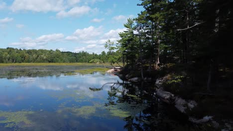 exploring shot through trees towards calm peaceful grundy lake in provincial park, canada