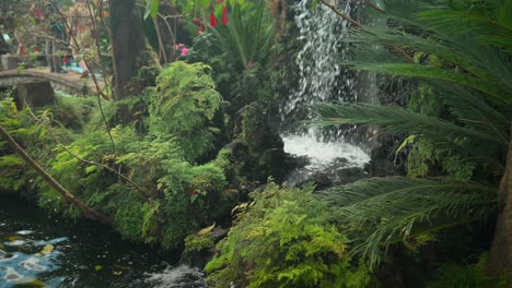 las imágenes fueron filmadas en madeira, portugal, en el jardín tropical de monte palace.