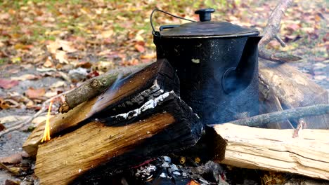 kettle on campfire at the forest