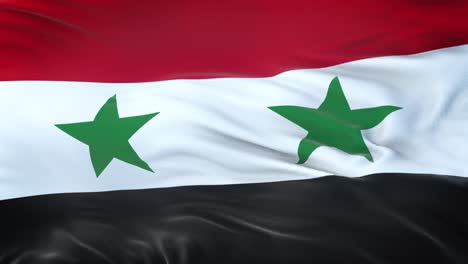 syria flag waving in the wind with highly detailed fabric texture. seamless loop