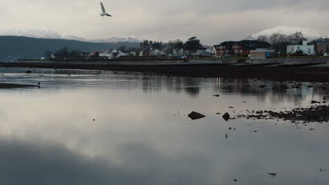 Seaside-town-with-distant-snowy-hills-and-seagull-flying-past-and-clear-reflection-in-water