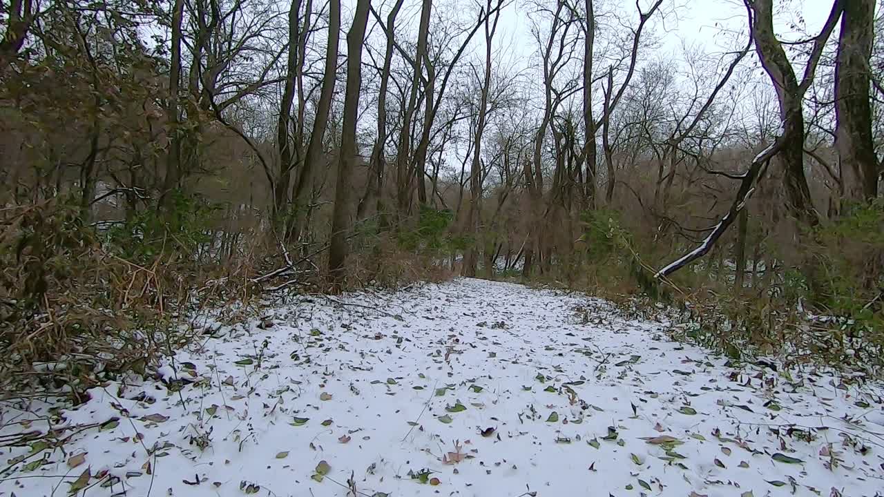 POV dal retro di un veicolo fuoristrada ATV mentre si guida su un sentiero coperto di neve attraverso i boschi in un pomeriggio invernale nuvoloso; il sentiero passa accanto a una latrina di legno; punto di vista.