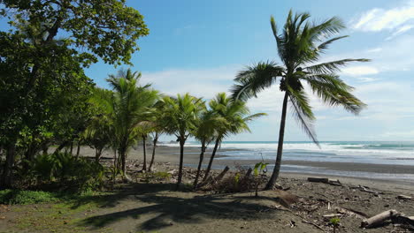 Tranquil-Costa-Rican-beachscape-framed-by-lush-palm-trees-and-clear-blue-skies.