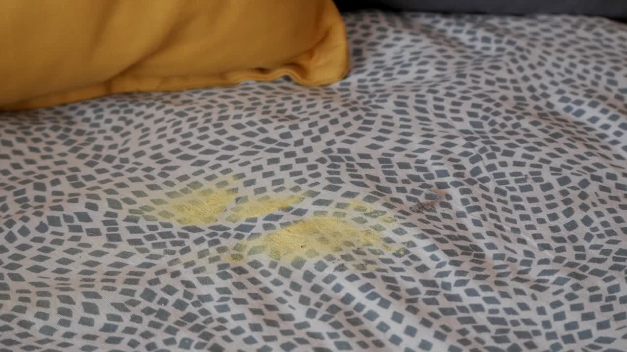 Close-up of a vacuum cleaner sucking up traces of dust on the sofa