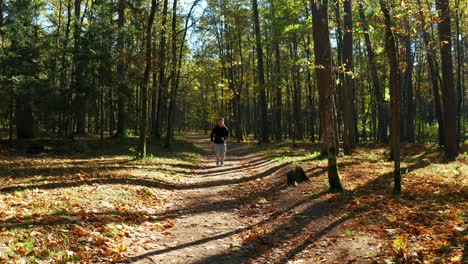 man running in the forest on a sunny day in neris regional park in lithuania