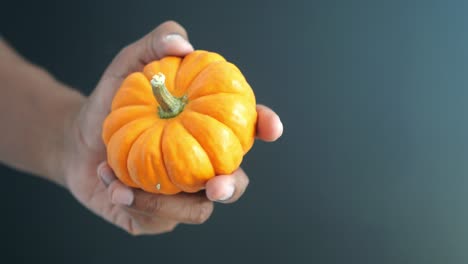 a hand holding a small orange pumpkin