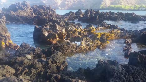 waves crashing in tide pools on the big island of hawaii