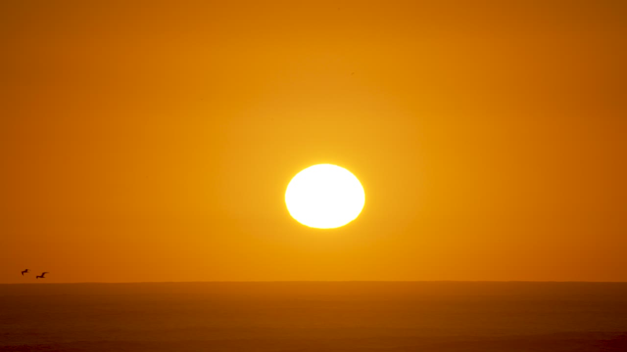 широкий снимок заходящего солнца над океаном и пролетающих мимо двух птиц