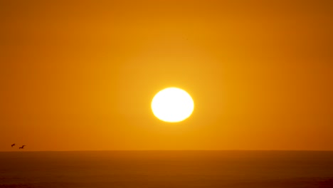 Wide-shot-of-sun-setting-over-ocean-while-two-birds-fly-past