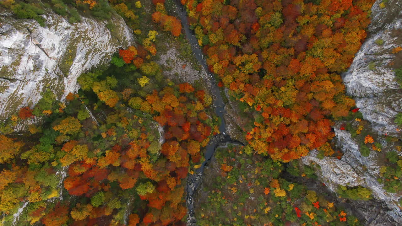 Aerial view of a river flowing through a valley with trees in various autumn colors and rocky cliffs A landscape scene from above