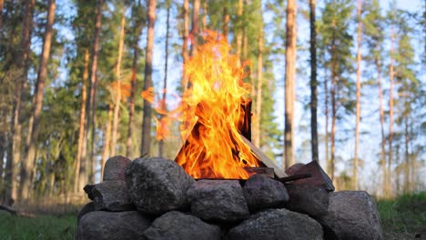 Brennendes-Lagerfeuer-Im-Wald