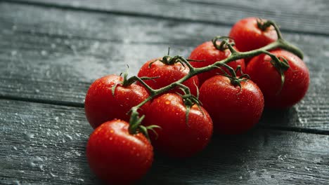 branch with cherry tomatoes