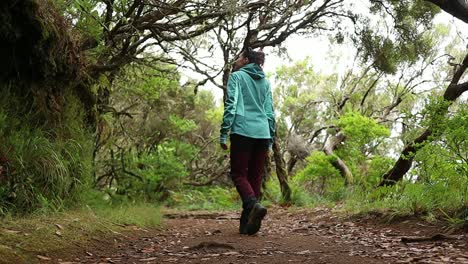 medium-shot-of-young-woman-admires-the-beauty-of-the-forest-while-walking