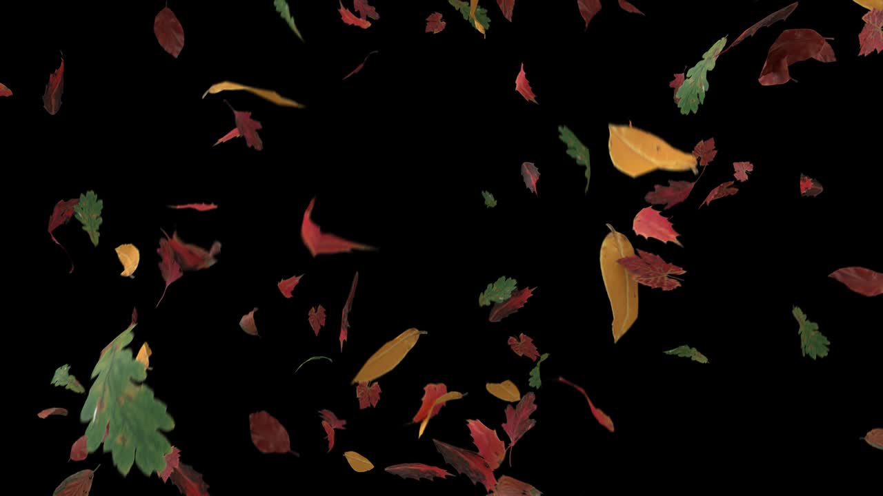 잎이 떨어지는 가을, 가을의 계절, 추수감사절, 나무, 잎 4k