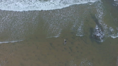 Cinematic-flying-of-surfers-surfing-along-coast-of-East-London-South-Africa-aerial