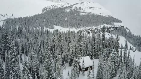 Drone-descending-to-reveal-remote-cabin-in-woods-in-winter