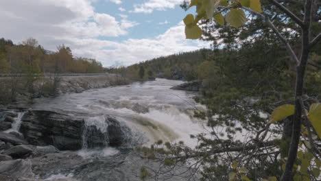 Hinter-Einigen-Blättern-Offenbart-Sich-Ein-Wunderschöner-Wasserfall