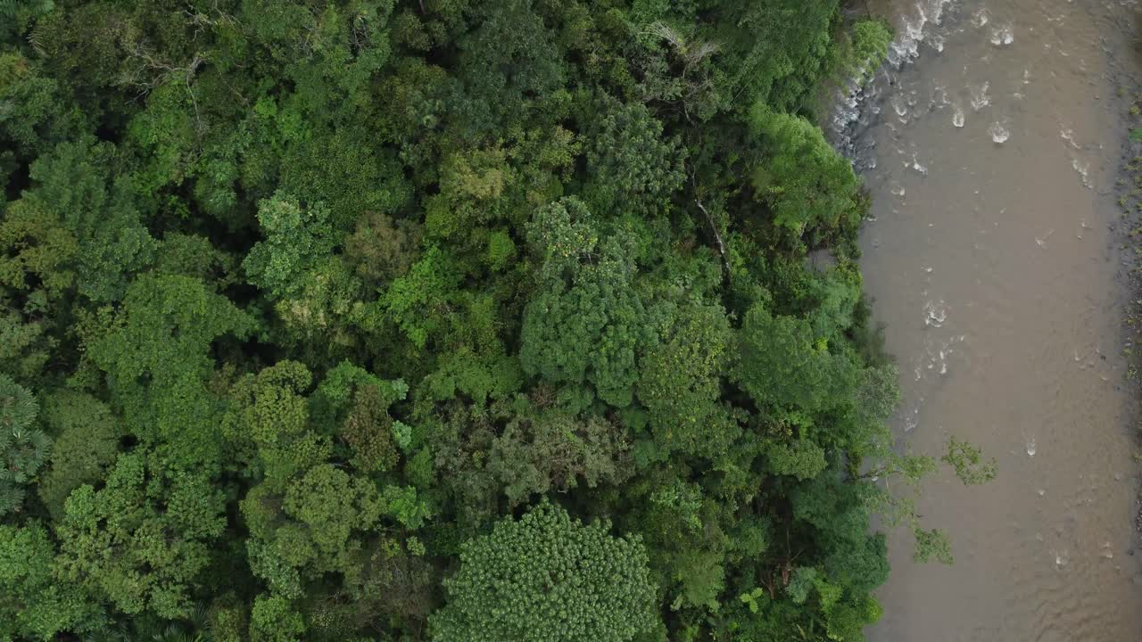Aerial top view river in tropical amazon green rainforest