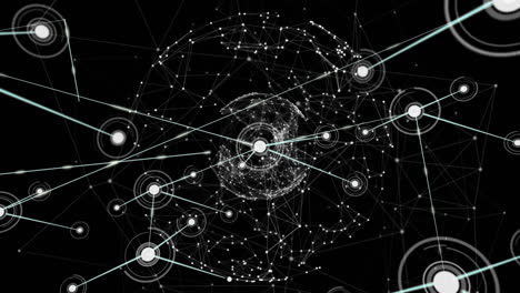 Animation of networks of connections