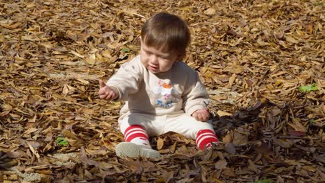 cute baby girl toddler playing with yellow dried fallen leaves in a park sitting on a ground