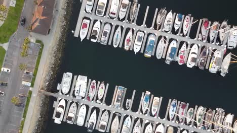 aerial shot of boats docking in harbor