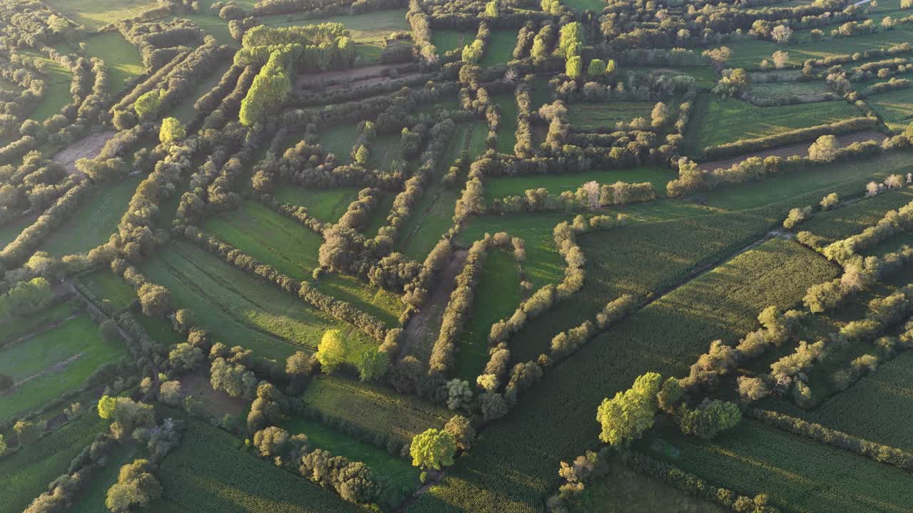Bocage habitat agriculture in Aveiro