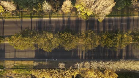 Aerial-drone-top-down-sideways-pov-directly-above-Buenos-Aires-empty-street-in-Argentina