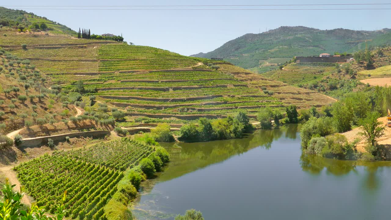 Rigogliosi terrazzamenti di vigneti sulla riva del fiume Douro nella Valle del Douro, Porto, Portogallo