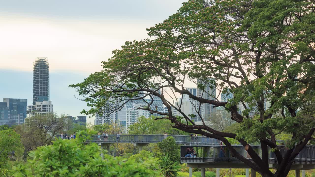 Benchasiri Park next Sukhumvit street, Bangkok, Thailand. Aerial view of Bangkok Benchasiri Park with little lake and skyscraper on the background