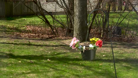 a flower pot in the backyard sun