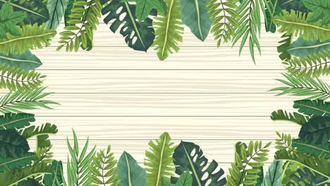 tropical exotics leafs ecology animation frame in wooden background